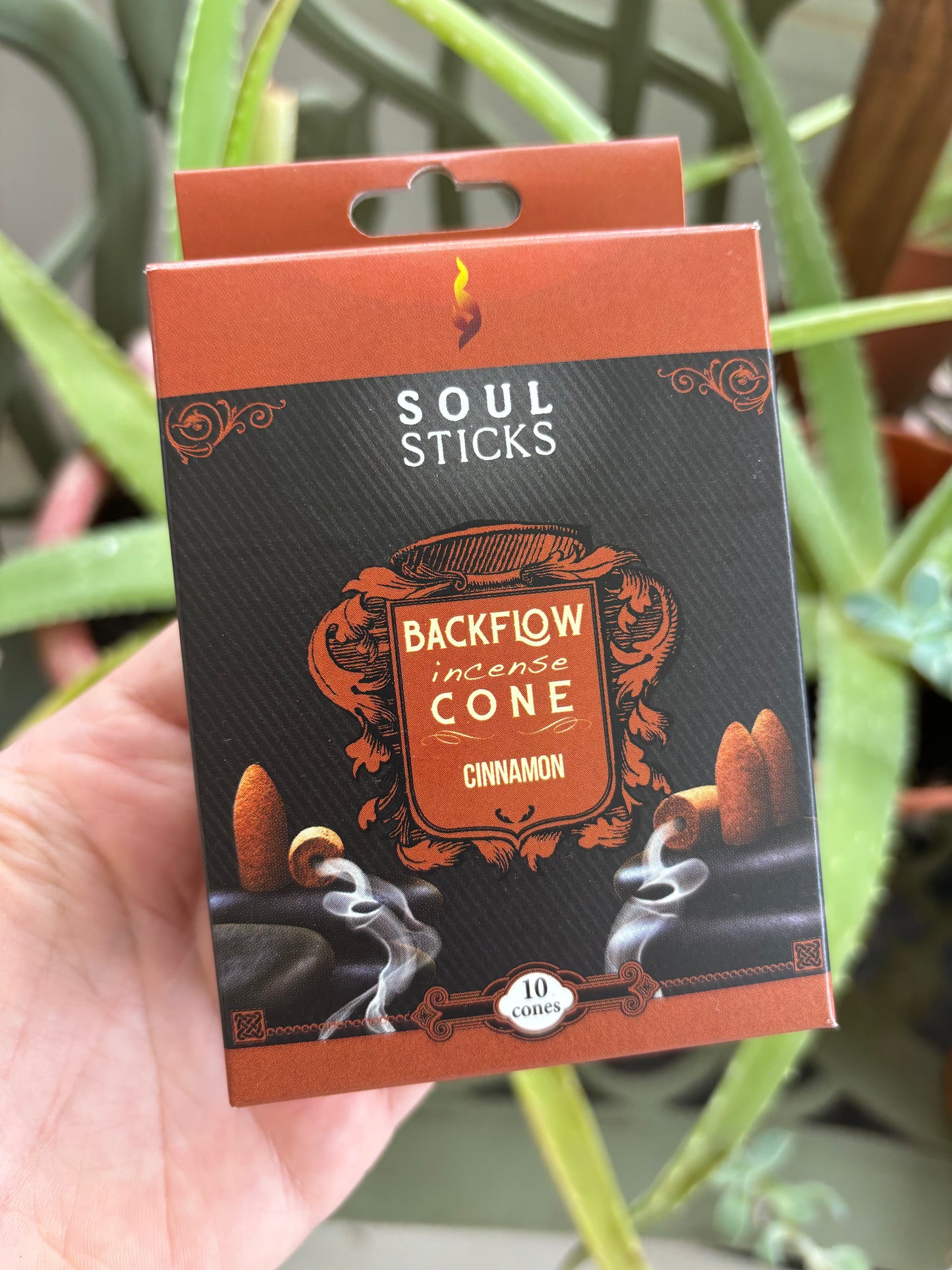 Cinnamon Backflow Incense Cones