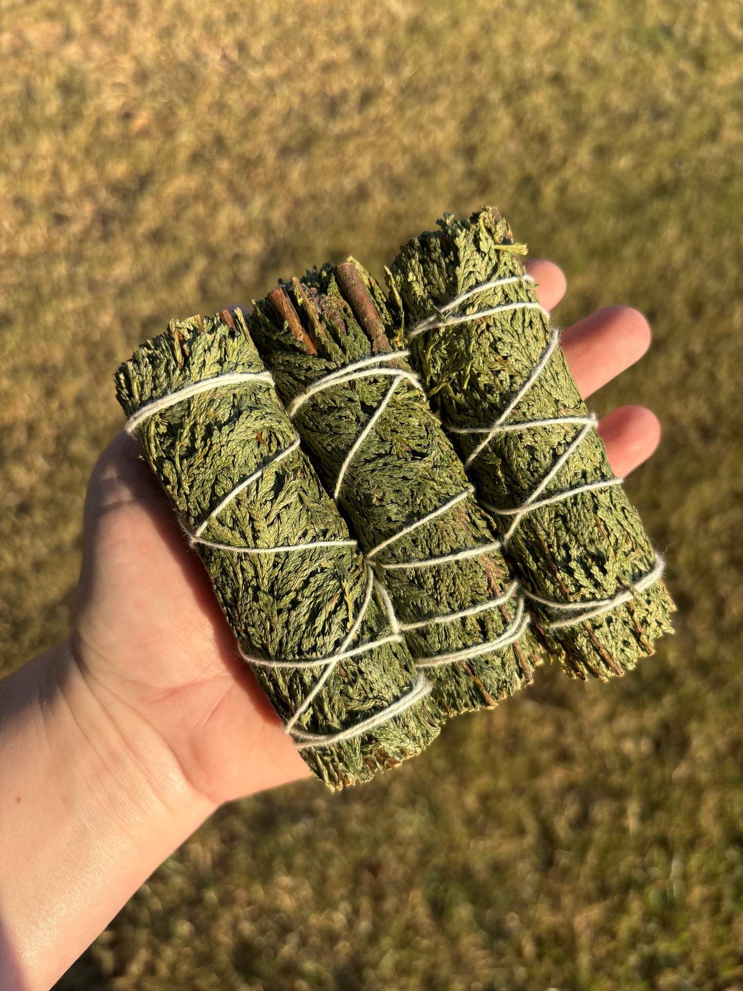 Cedar Sage Bundle