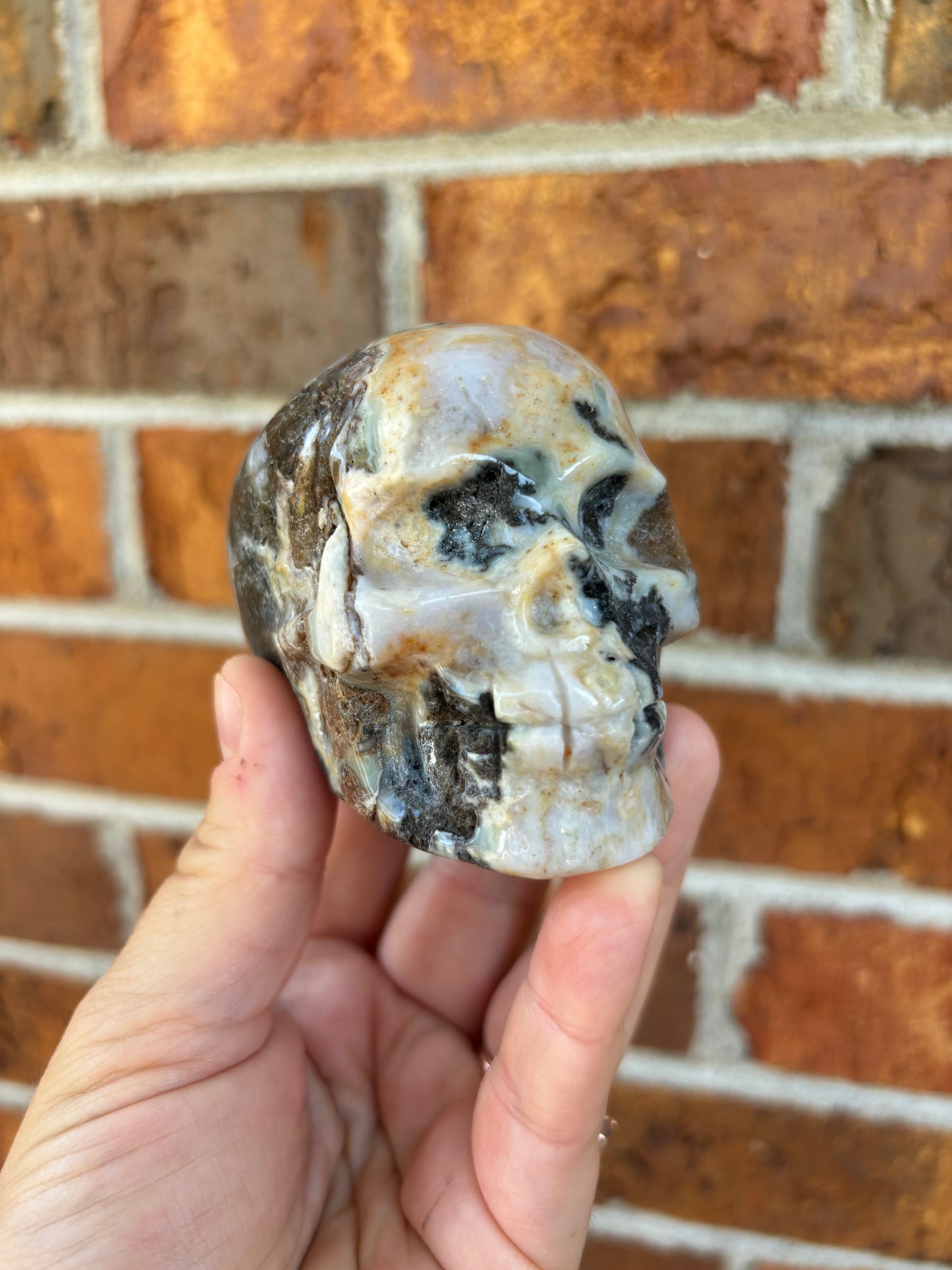 Ocean Jasper Skull