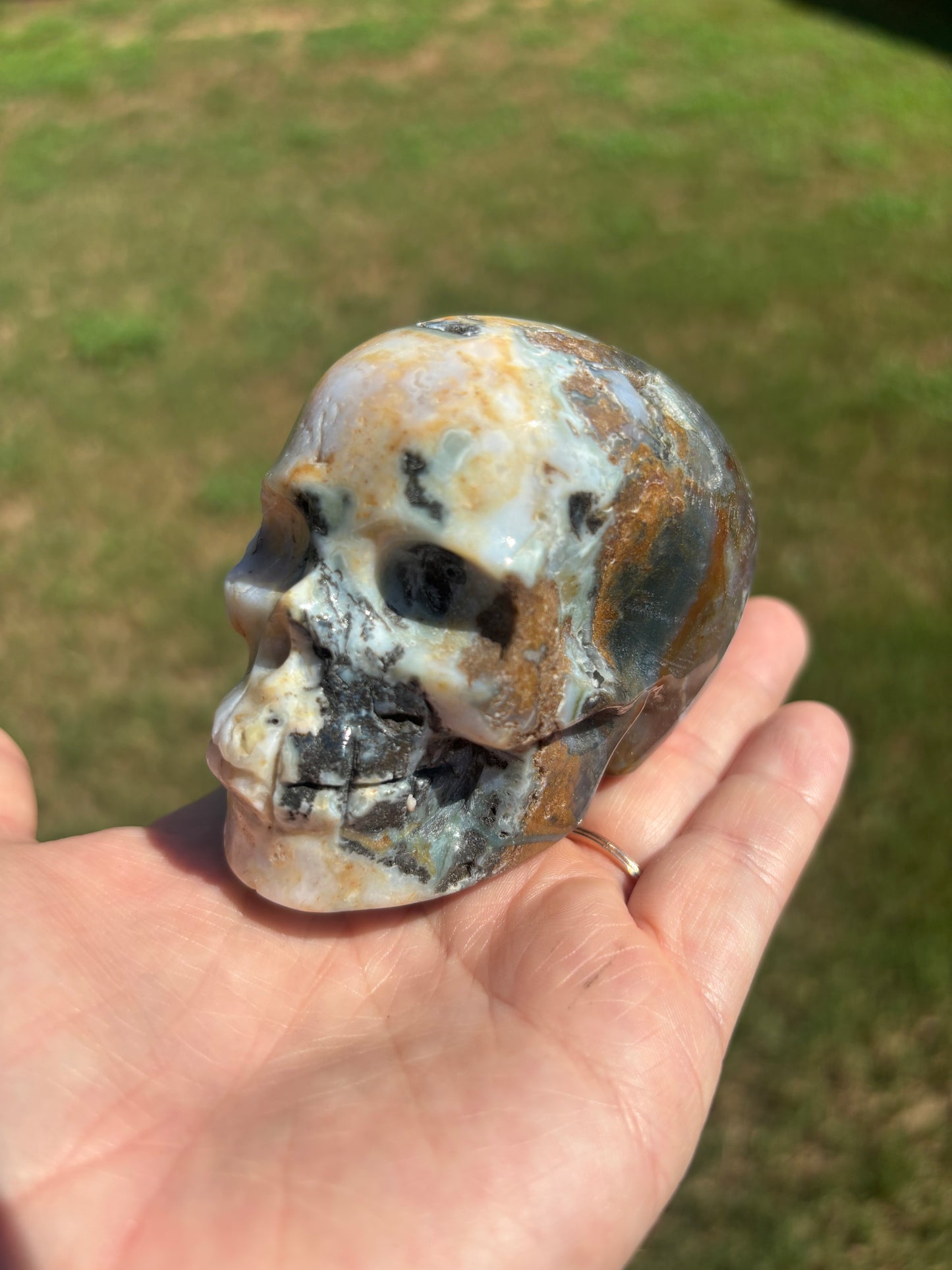 Ocean Jasper Skull