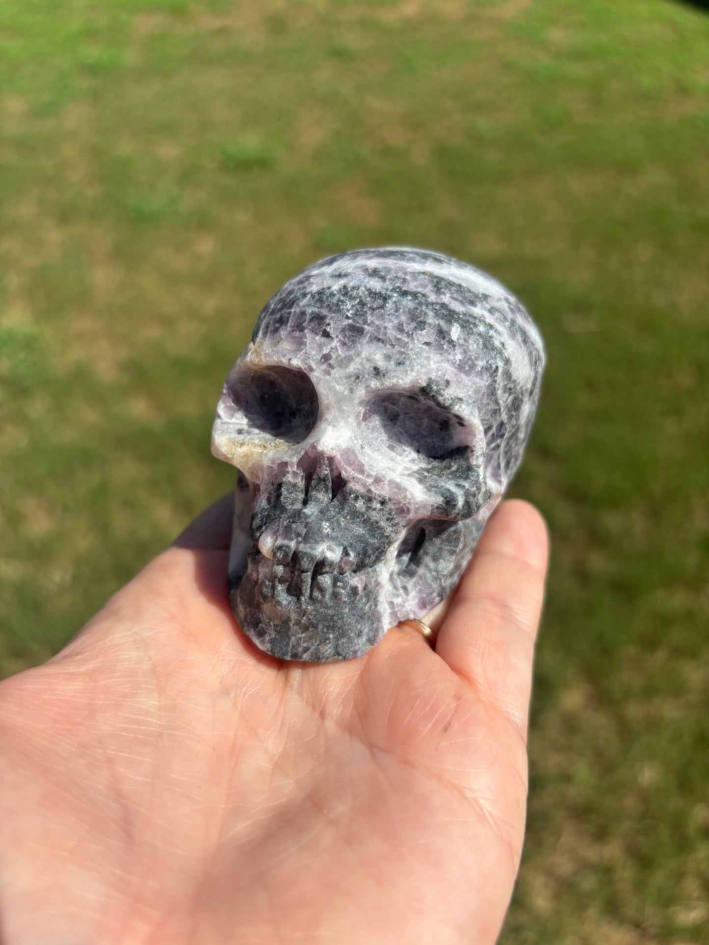 Zebra Fluorite Skull
