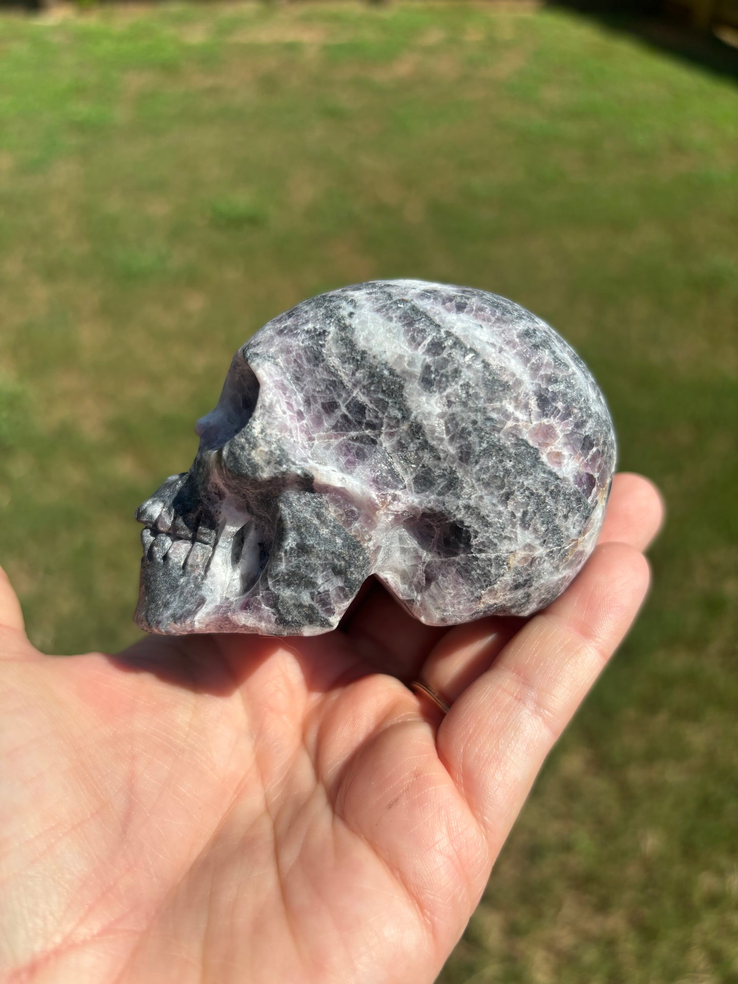 Zebra Fluorite Skull