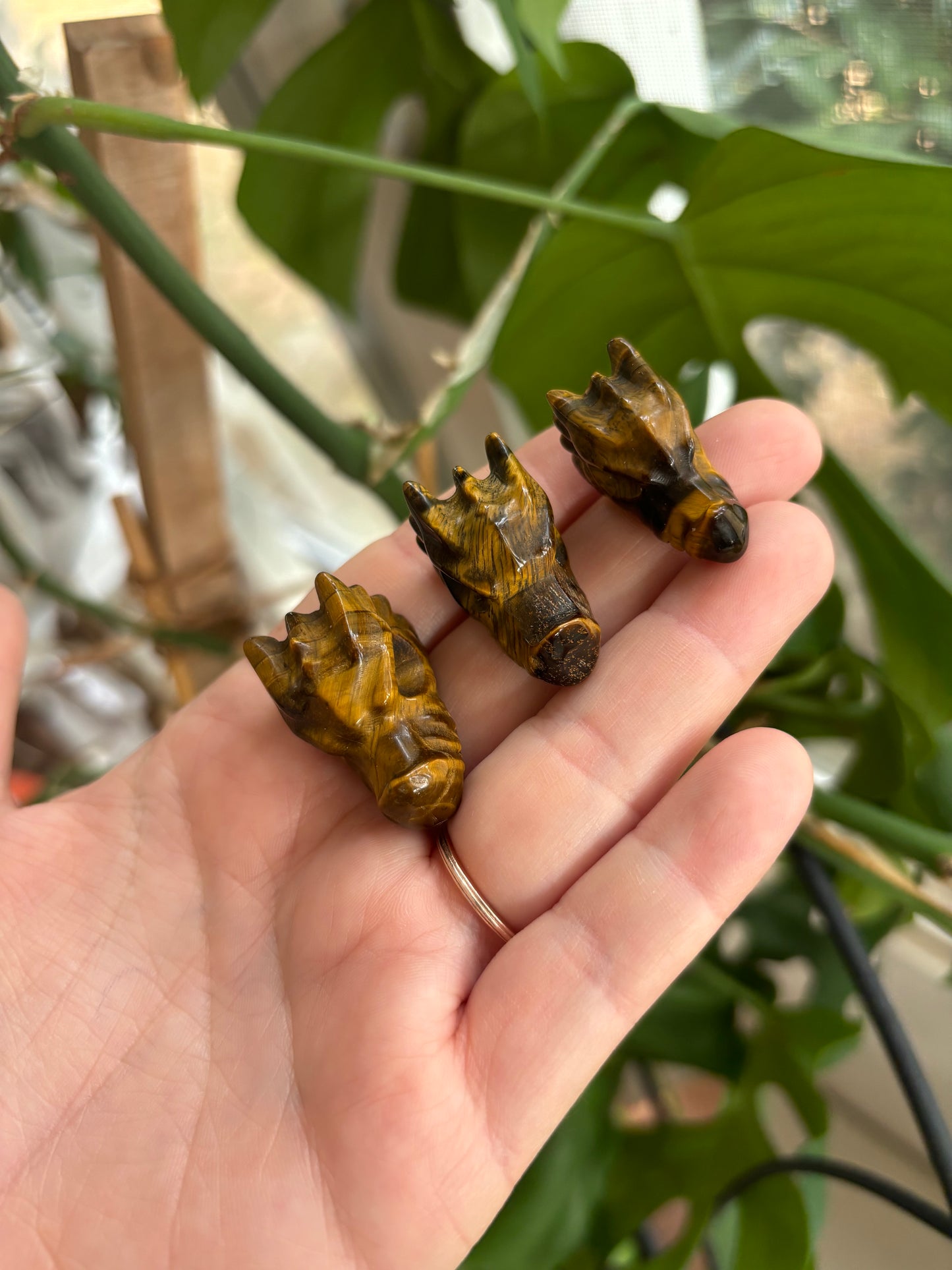 Tigers Eye Dragon Head Carving