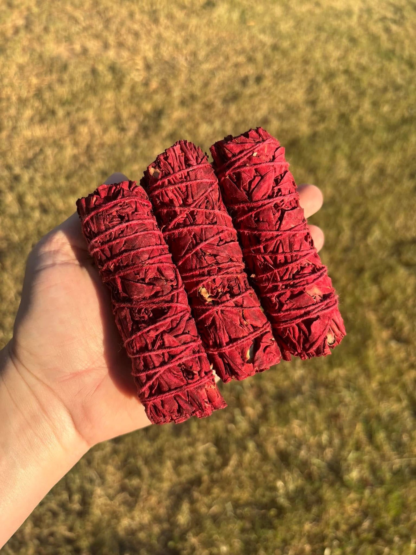 Dragons Blood Sage Bundle