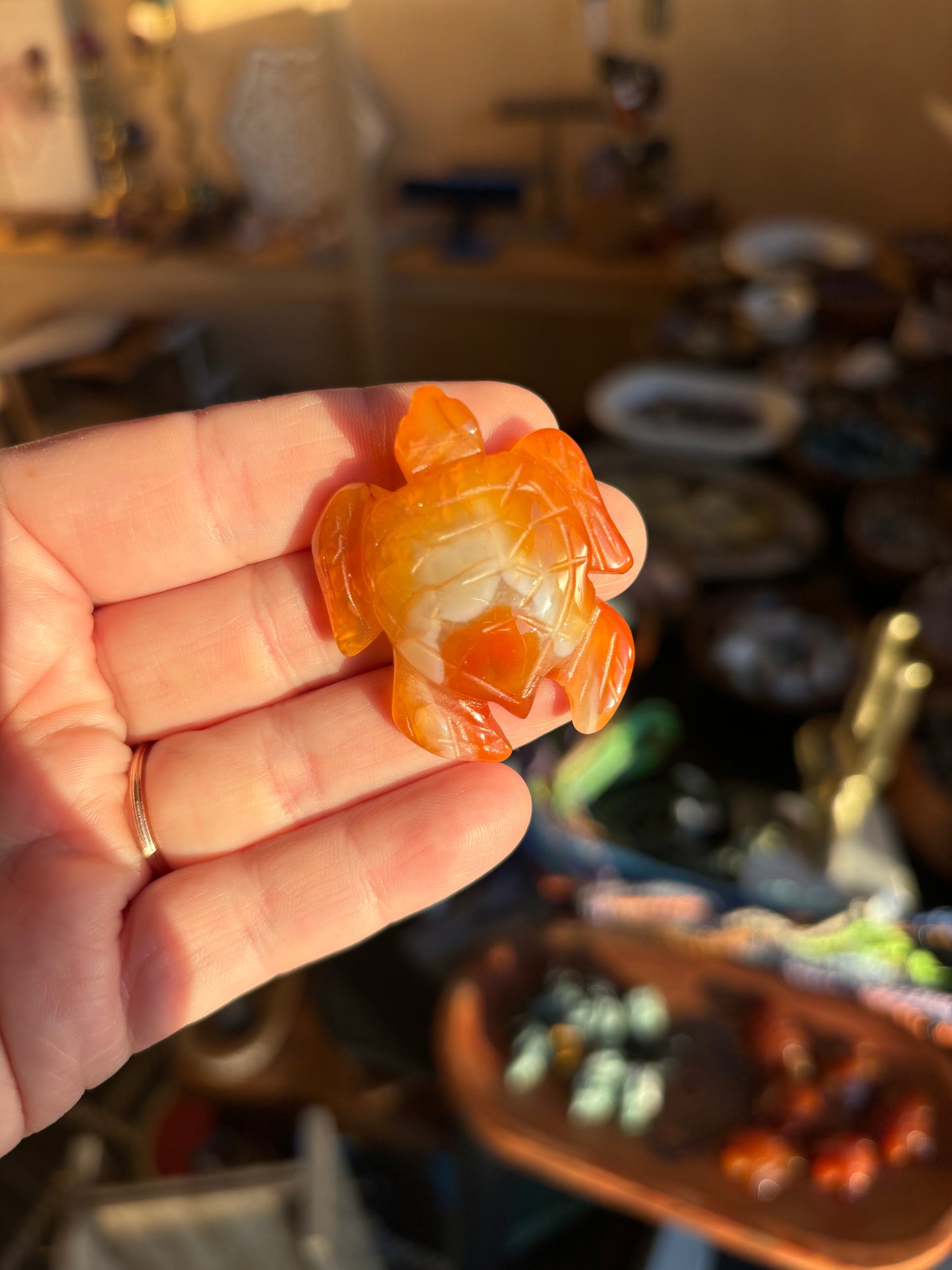 Carnelian Sea Turtle