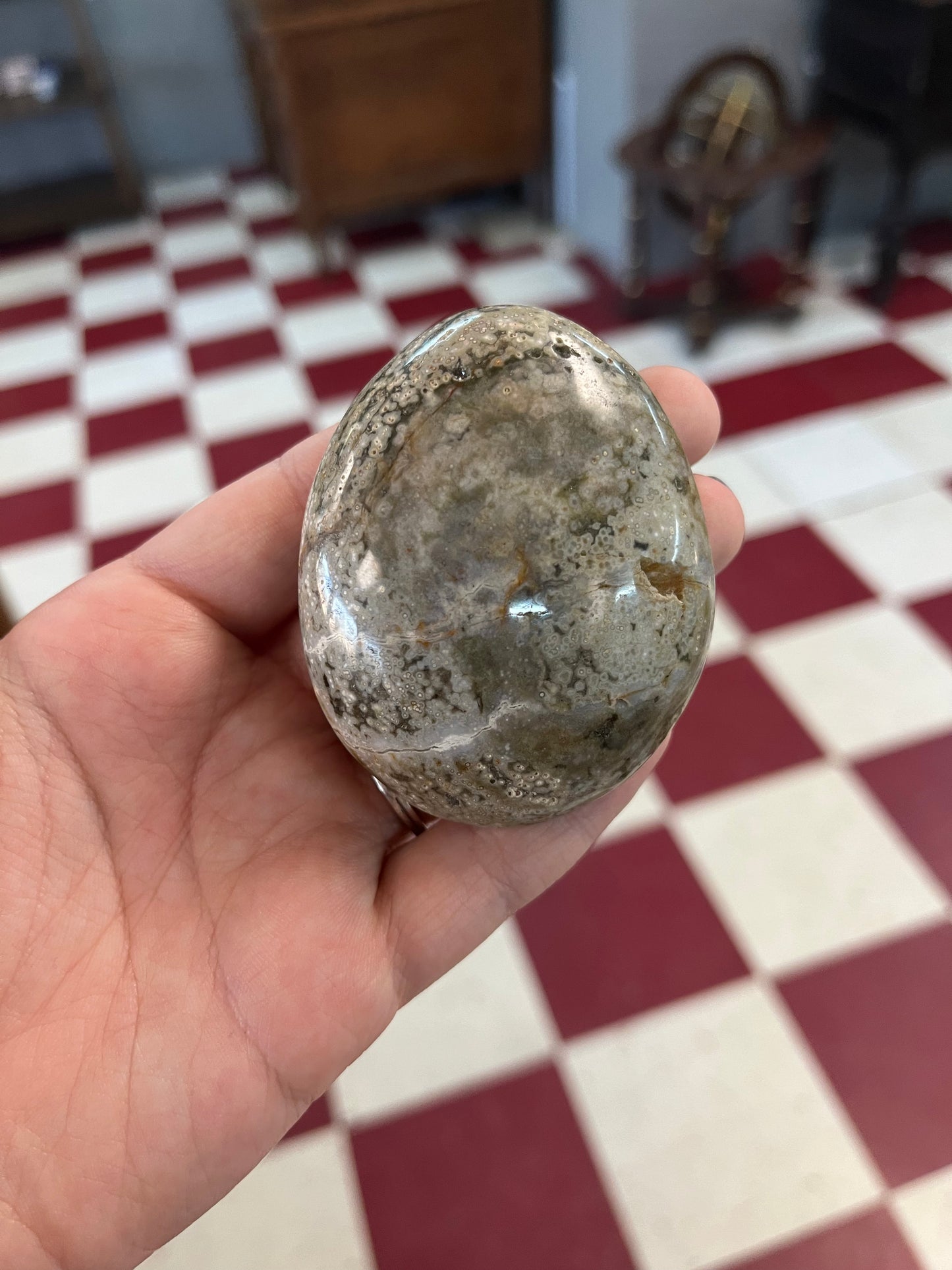 Ocean Jasper palm