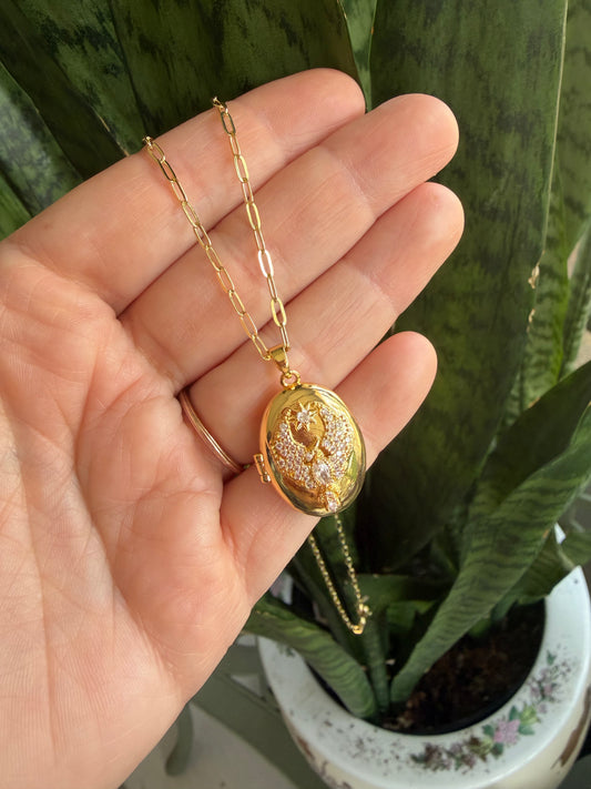 Locket with Bird Gold Filled Necklace (Cubic Zirconia)