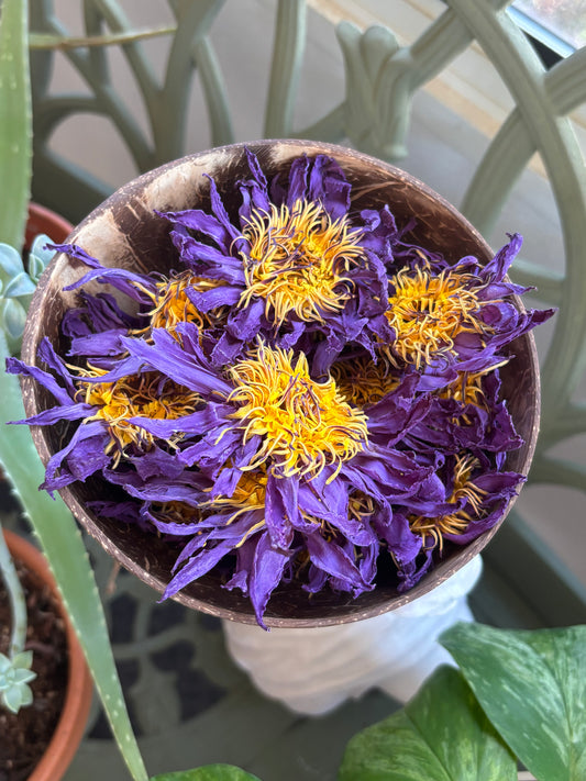 Blue Lotus Flower - 1 Ounce