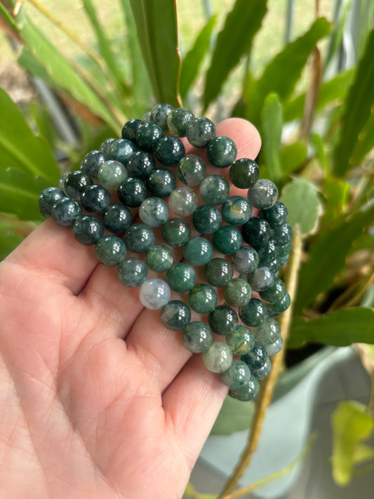 Moss Agate Bracelet 8mm