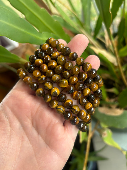 Tigers Eye Bracelet 8mm