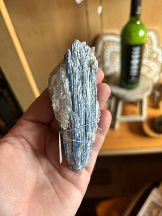 Blue Kyanite in Quartz