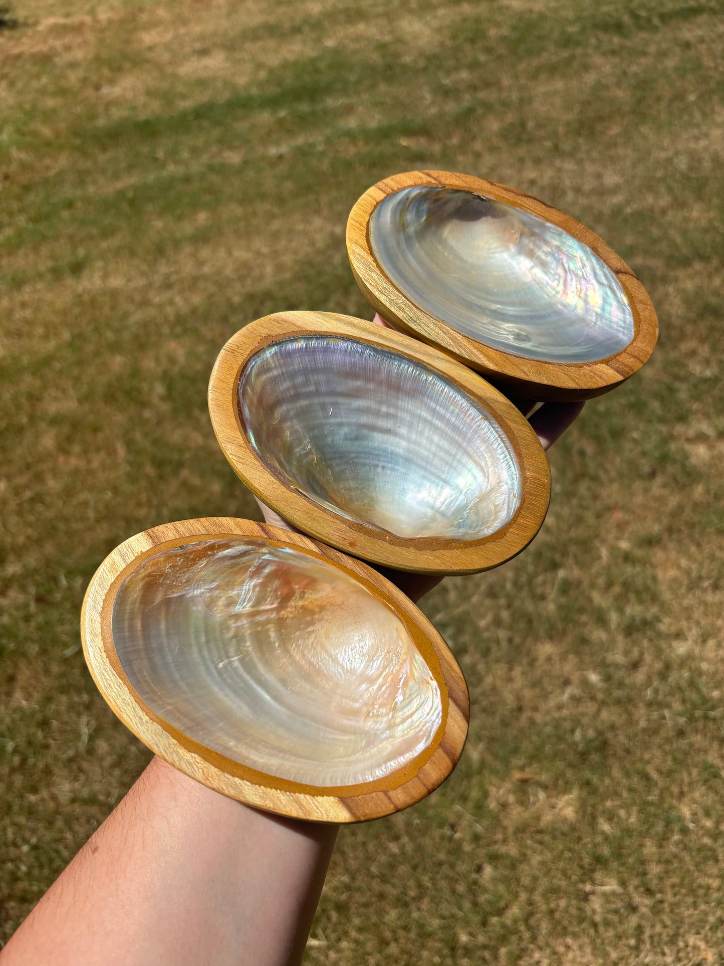 Shell Bowl with Wooden Base