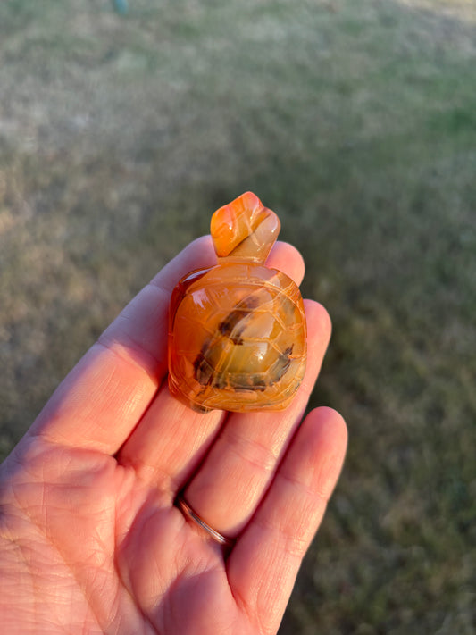 Carnelian Turtle Carving