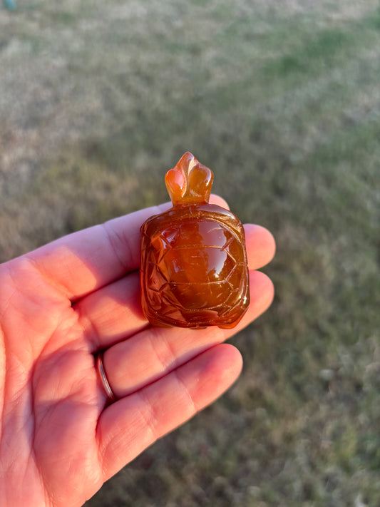 Carnelian Turtle Carving