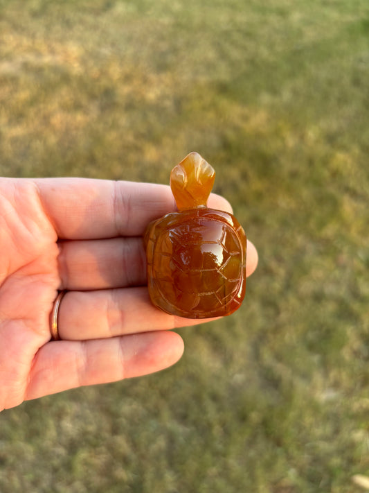 Carnelian Turtle Carving