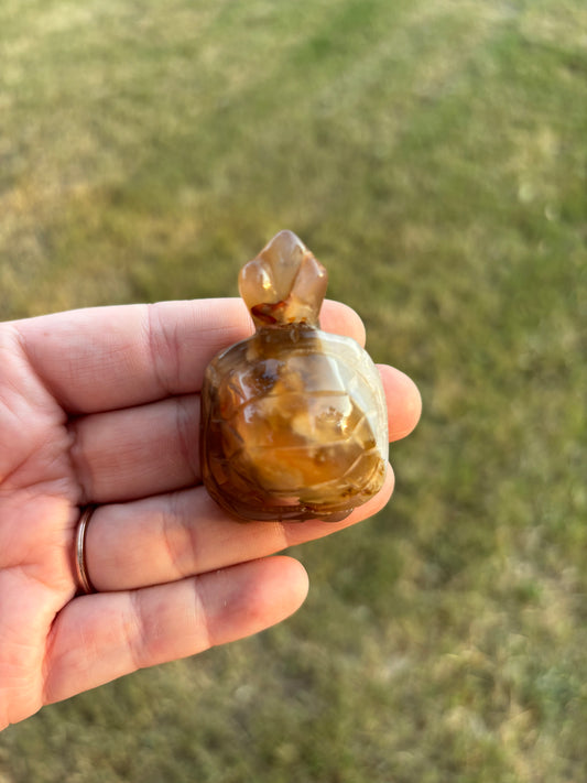 Carnelian Turtle Carving