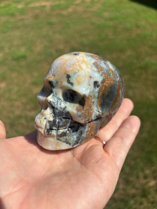 Ocean Jasper Skull
