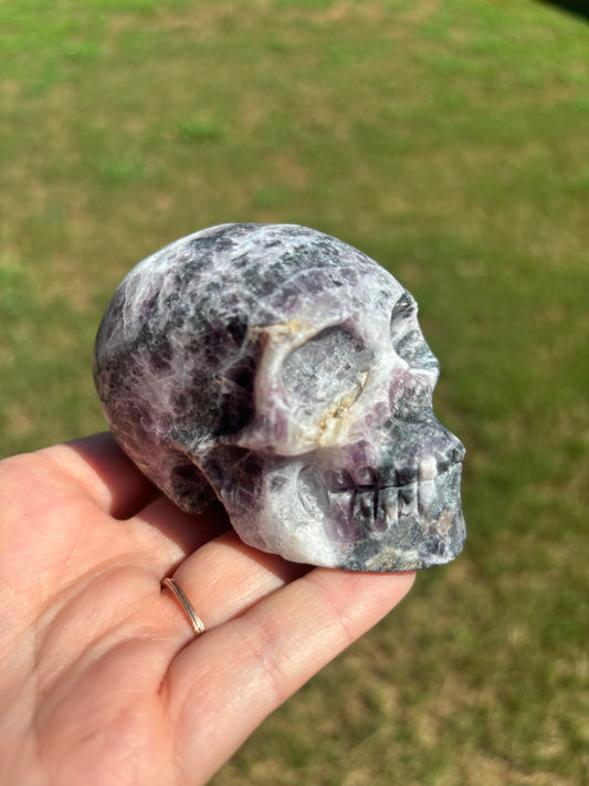 Zebra Fluorite Skull